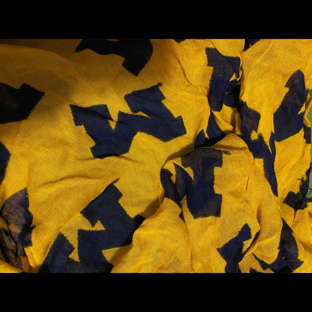 University of Michigan infinity scarf